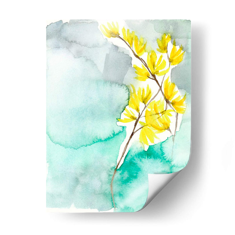 Forsythia Dreams Ii - Jennifer Goldberger | Cuadro decorativo de Canvas Lab