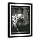 Doble Toma Equina I - Allen Friedlander | Cuadro decorativo de Canvas Lab