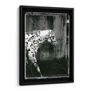 Doble Toma Equina I - Allen Friedlander | Cuadro decorativo de Canvas Lab