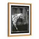 Doble Toma Equina I - Allen Friedlander | Cuadro decorativo de Canvas Lab