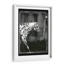 Doble Toma Equina I - Allen Friedlander | Cuadro decorativo de Canvas Lab