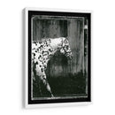 Doble Toma Equina I - Allen Friedlander | Cuadro decorativo de Canvas Lab