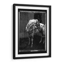 Doble Toma Equina Ii - Allen Friedlander | Cuadro decorativo de Canvas Lab