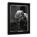 Doble Toma Equina Ii - Allen Friedlander | Cuadro decorativo de Canvas Lab