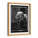 Doble Toma Equina Ii - Allen Friedlander | Cuadro decorativo de Canvas Lab