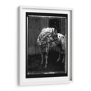 Doble Toma Equina Ii - Allen Friedlander | Cuadro decorativo de Canvas Lab