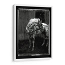 Doble Toma Equina Ii - Allen Friedlander | Cuadro decorativo de Canvas Lab