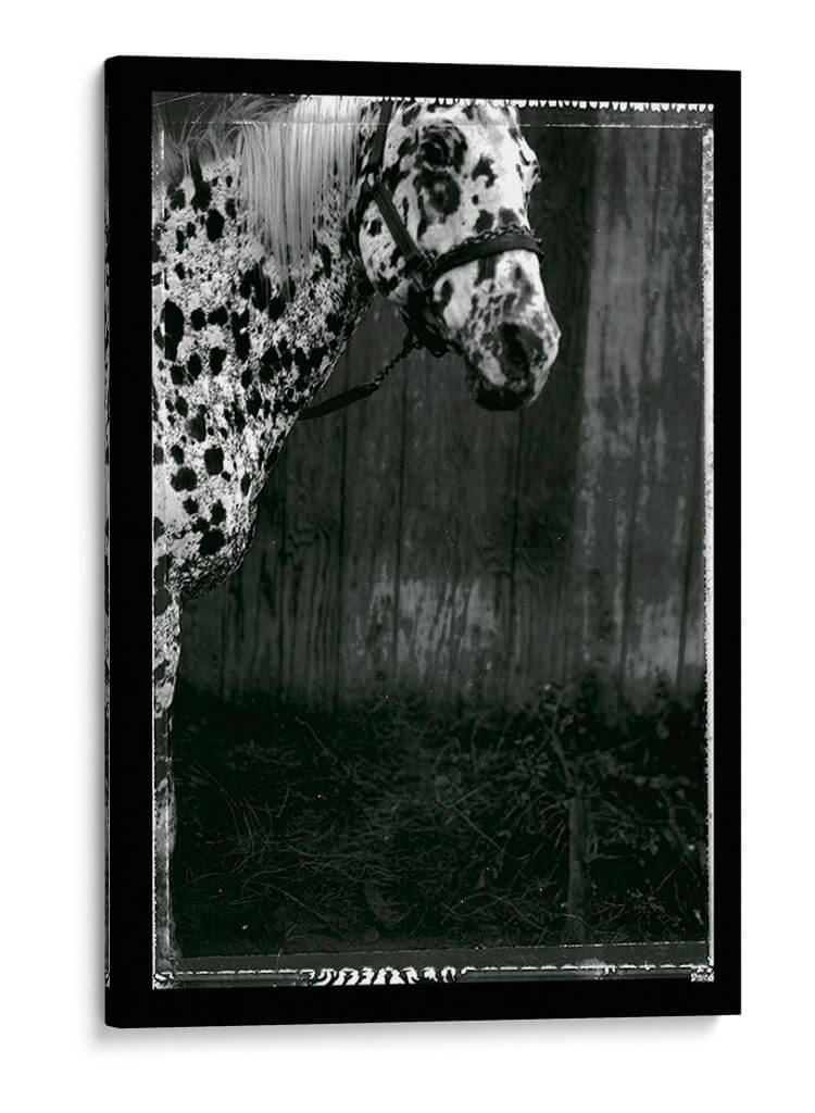Doble Doble Toma Iii - Allen Friedlander | Cuadro decorativo de Canvas Lab
