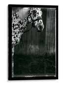 Doble Doble Toma Iii - Allen Friedlander | Cuadro decorativo de Canvas Lab