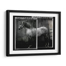 Doble Toma Equina Iv - Allen Friedlander | Cuadro decorativo de Canvas Lab