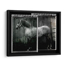 Doble Toma Equina Iv - Allen Friedlander | Cuadro decorativo de Canvas Lab