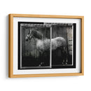 Doble Toma Equina Iv - Allen Friedlander | Cuadro decorativo de Canvas Lab