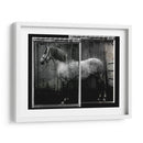 Doble Toma Equina Iv - Allen Friedlander | Cuadro decorativo de Canvas Lab