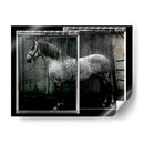 Doble Toma Equina Iv - Allen Friedlander | Cuadro decorativo de Canvas Lab