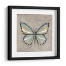 Mariposa De Primavera Gráfica Ii - Jade Reynolds | Cuadro decorativo de Canvas Lab
