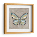 Mariposa De Primavera Gráfica Ii - Jade Reynolds | Cuadro decorativo de Canvas Lab