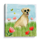 Park Pup Ii - Grace Popp | Cuadro decorativo de Canvas Lab