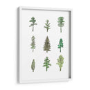 Pinos Recolectados - Melissa Wang | Cuadro decorativo de Canvas Lab