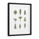 Pinos Recolectados Ii - Melissa Wang | Cuadro decorativo de Canvas Lab