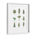 Pinos Recolectados Ii - Melissa Wang | Cuadro decorativo de Canvas Lab