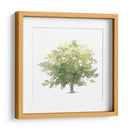 Roble Solitario I - Emma Scarvey | Cuadro decorativo de Canvas Lab