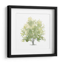 Oak Solitario Ii - Emma Scarvey | Cuadro decorativo de Canvas Lab