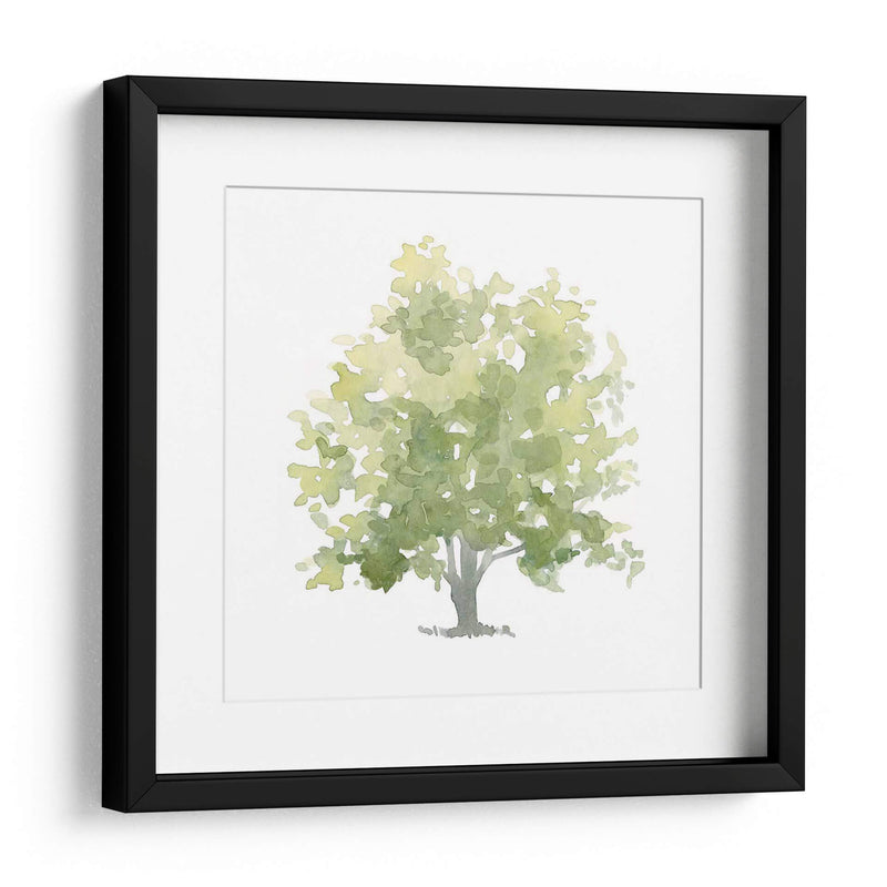 Oak Solitario Ii - Emma Scarvey | Cuadro decorativo de Canvas Lab