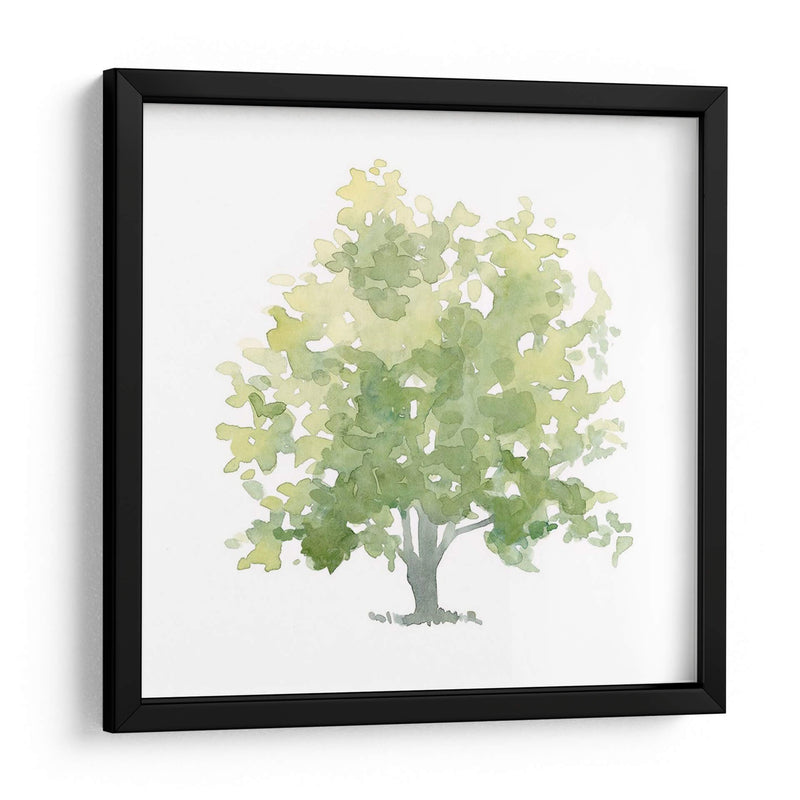 Oak Solitario Ii - Emma Scarvey | Cuadro decorativo de Canvas Lab