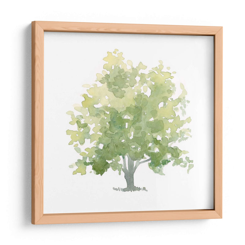 Oak Solitario Ii - Emma Scarvey | Cuadro decorativo de Canvas Lab