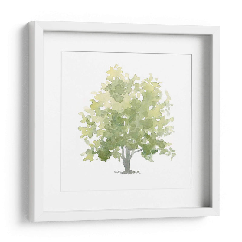 Oak Solitario Ii - Emma Scarvey | Cuadro decorativo de Canvas Lab