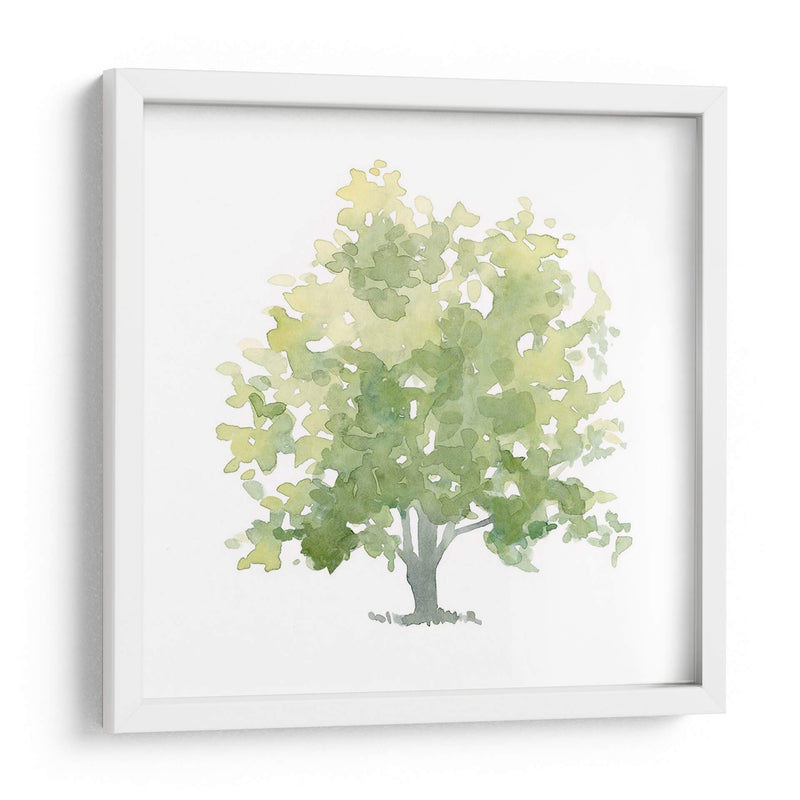 Oak Solitario Ii - Emma Scarvey | Cuadro decorativo de Canvas Lab