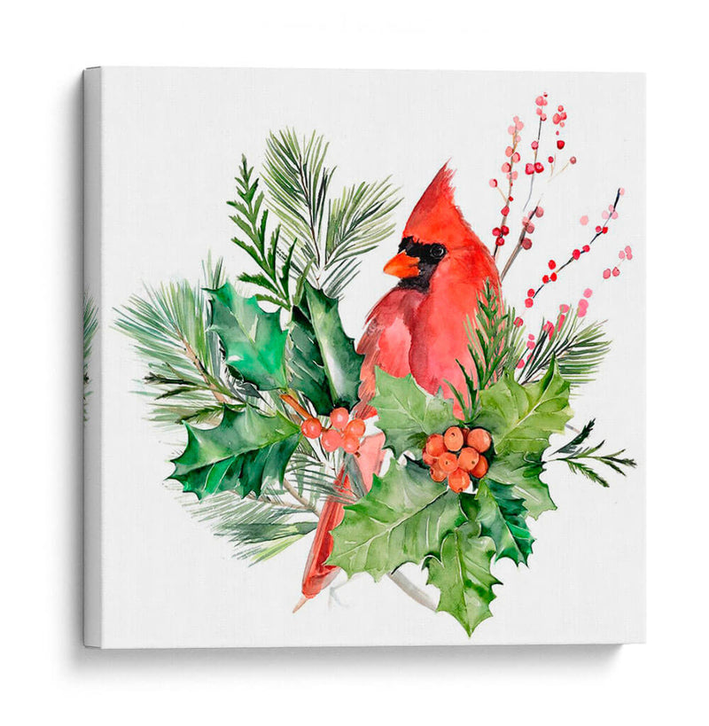 Cardenal Holly Navidad I - B. Hoola Van Nooten | Cuadro decorativo de Canvas Lab