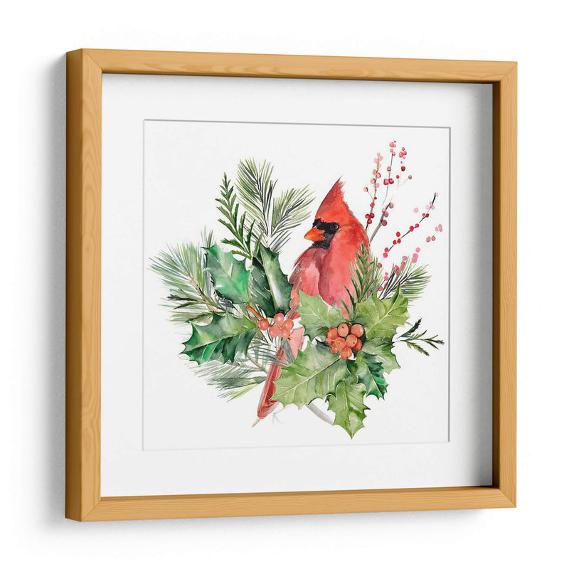 Cardenal Holly Navidad I - B. Hoola Van Nooten | Cuadro decorativo de Canvas Lab