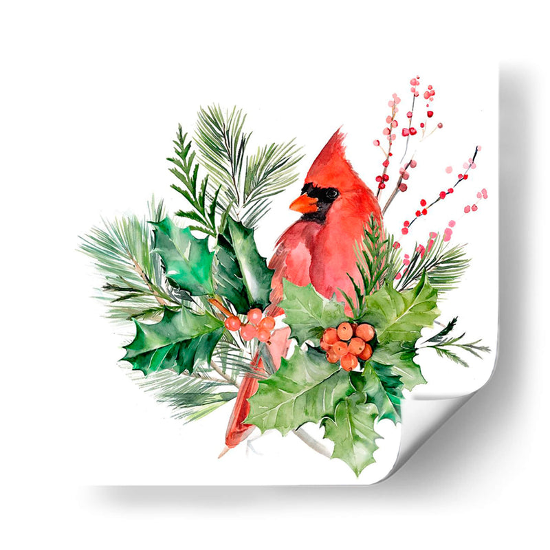 Cardenal Holly Navidad I - B. Hoola Van Nooten | Cuadro decorativo de Canvas Lab