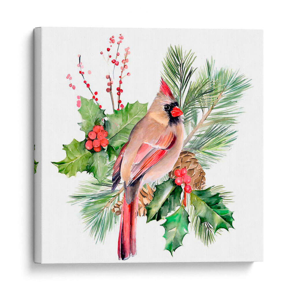 Cardenal Holly Christmas Ii - B. Hoola Van Nooten | Cuadro decorativo de Canvas Lab