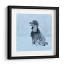 Pop Modern Dog V - Nick Dautlich | Cuadro decorativo de Canvas Lab