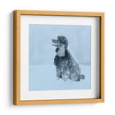 Pop Modern Dog V - Nick Dautlich | Cuadro decorativo de Canvas Lab