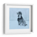 Pop Modern Dog V - Nick Dautlich | Cuadro decorativo de Canvas Lab
