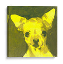 Pop Modern Dog Vii - Nick Dautlich | Cuadro decorativo de Canvas Lab