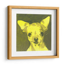 Pop Modern Dog Vii - Nick Dautlich | Cuadro decorativo de Canvas Lab