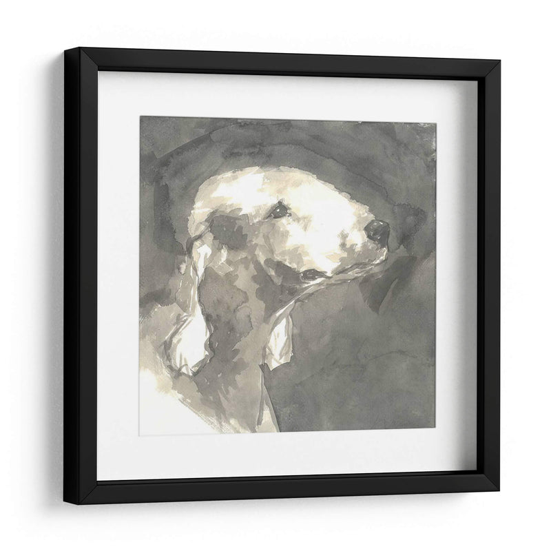 Perro Moderno Sepia I - Nick Dautlich | Cuadro decorativo de Canvas Lab