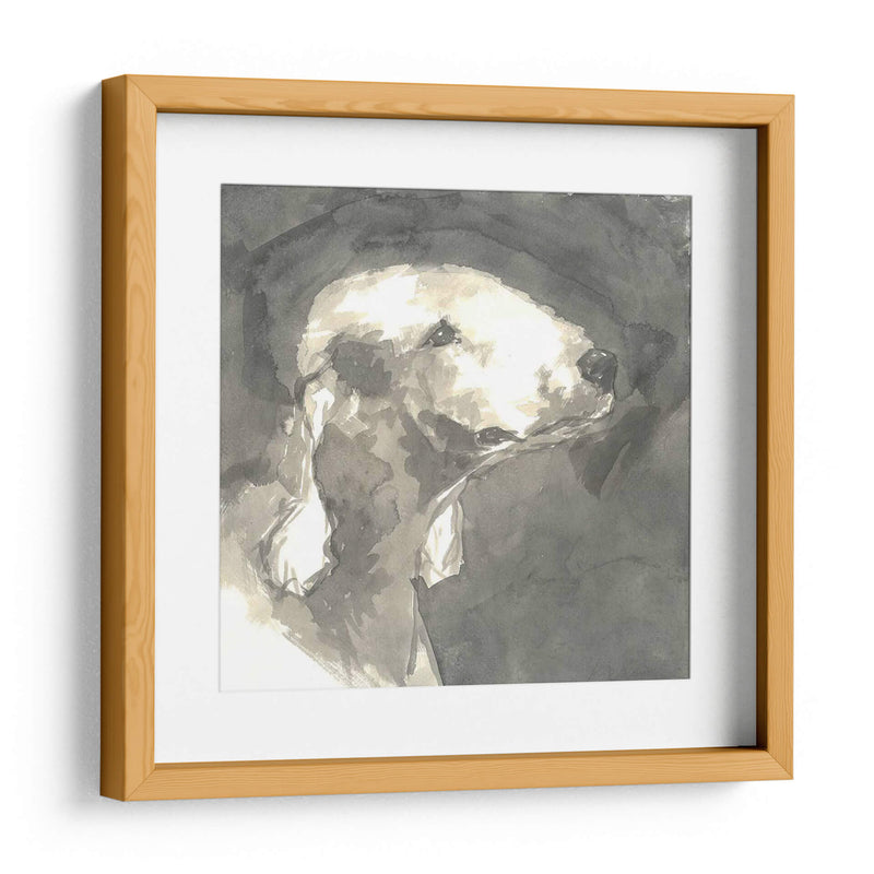 Perro Moderno Sepia I - Nick Dautlich | Cuadro decorativo de Canvas Lab