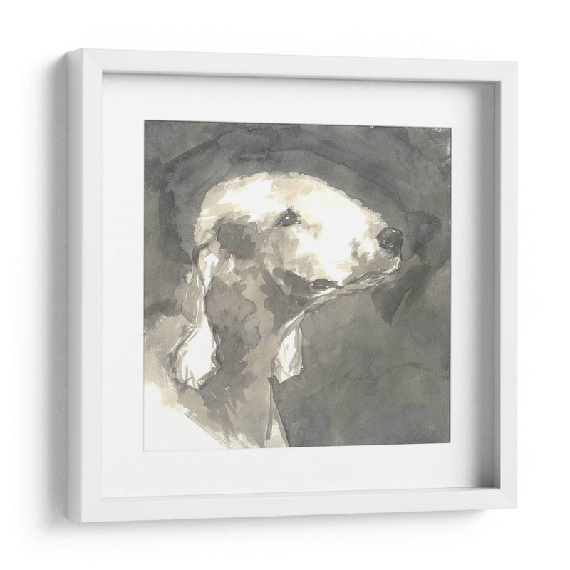 Perro Moderno Sepia I - Nick Dautlich | Cuadro decorativo de Canvas Lab