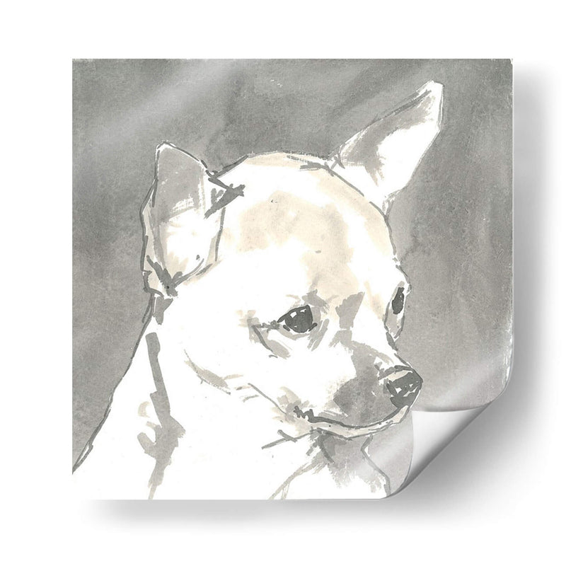 Sepia Modern Dog Iii - Nick Dautlich | Cuadro decorativo de Canvas Lab