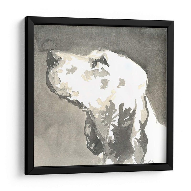 Sepia Modern Dog V - Nick Dautlich | Cuadro decorativo de Canvas Lab