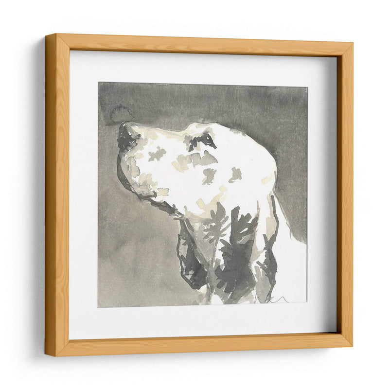 Sepia Modern Dog V - Nick Dautlich | Cuadro decorativo de Canvas Lab