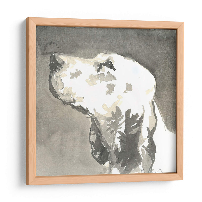 Sepia Modern Dog V - Nick Dautlich | Cuadro decorativo de Canvas Lab