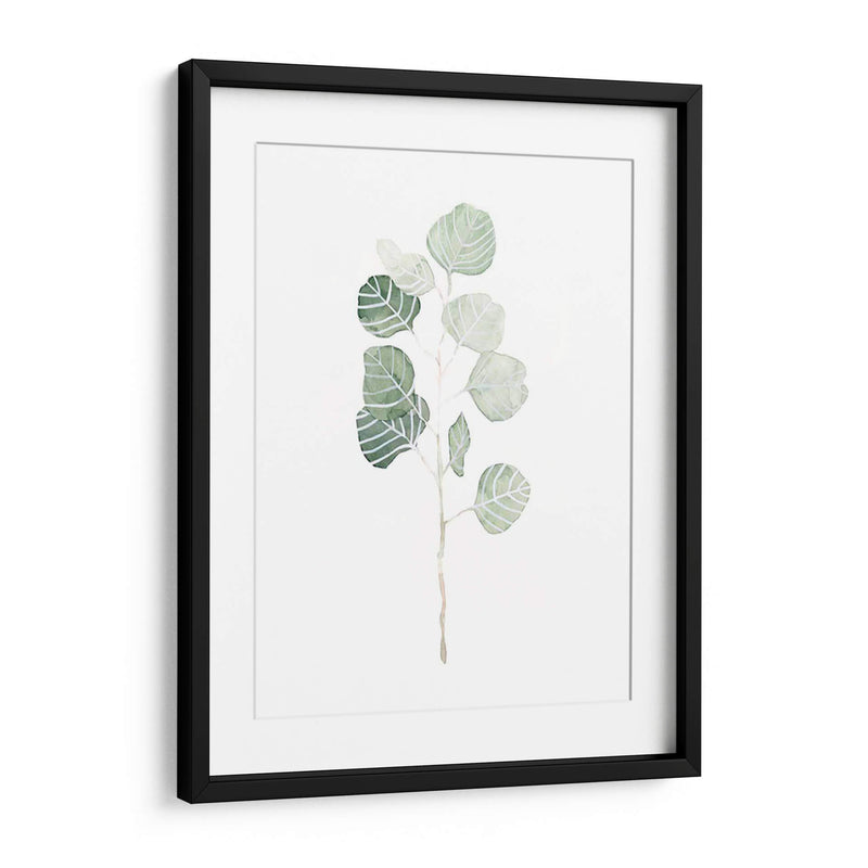 Soft Eucalyptus Branch I - Emma Scarvey | Cuadro decorativo de Canvas Lab