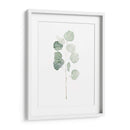 Soft Eucalyptus Branch I - Emma Scarvey | Cuadro decorativo de Canvas Lab