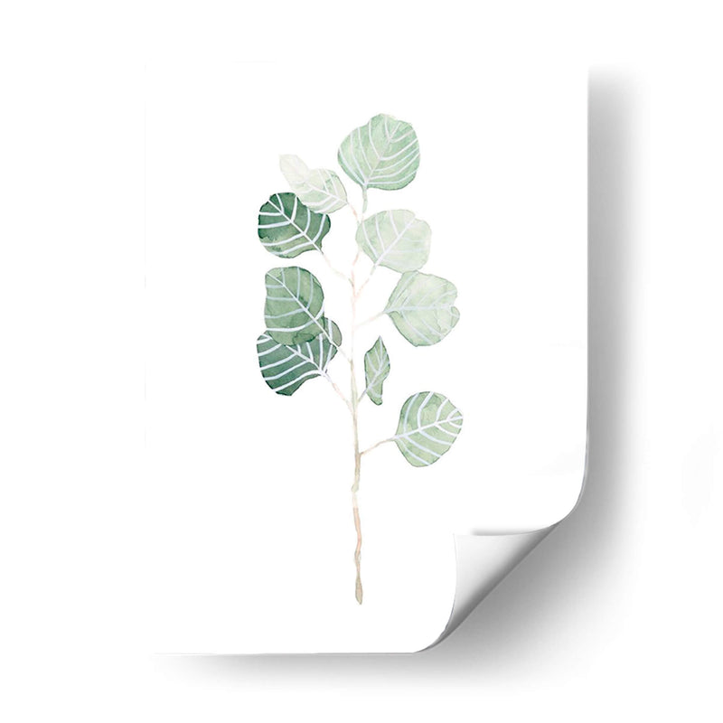 Soft Eucalyptus Branch I - Emma Scarvey | Cuadro decorativo de Canvas Lab